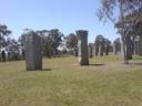 dsc00151.thumbnail.JPG
