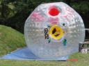 dsc01204.thumbnail.JPG