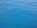 dsc00327.thumbnail.JPG