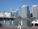 dsc02296.thumbnail.JPG
