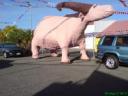 dsc01395.thumbnail.JPG