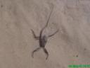 dsc01440.thumbnail.JPG