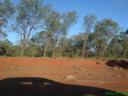 dsc01293.thumbnail.JPG