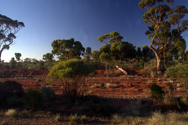 Sydney to Perth 51