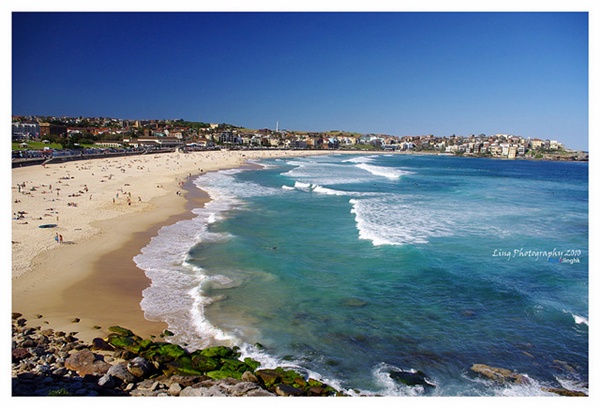 Bondi Beach